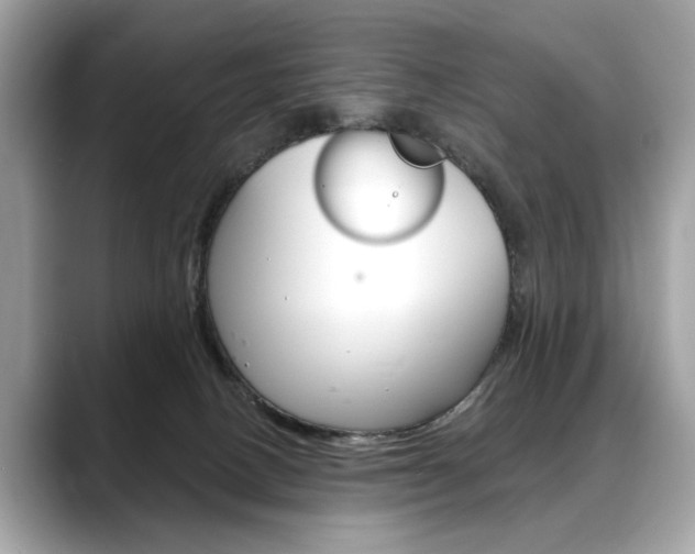 X0000088690082200705311005