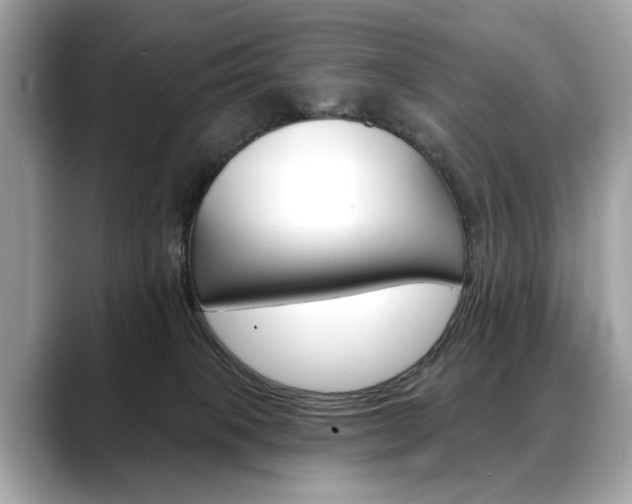 X0000088690085200705311006