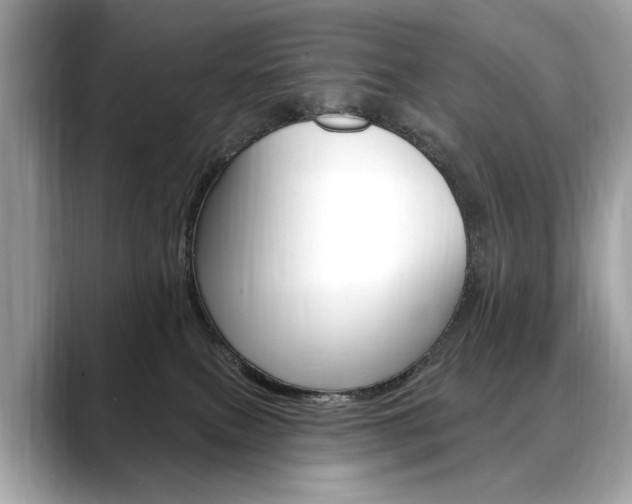 X0000088690087200705311006