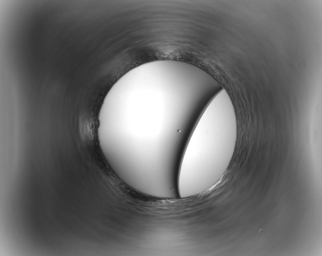 X0000088690090200705311006