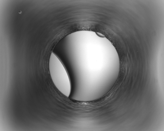 X0000088690091200705311006
