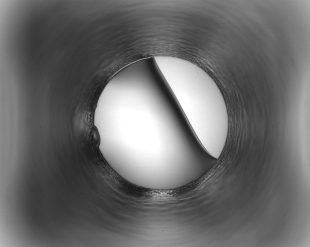X0000088690093200705311006