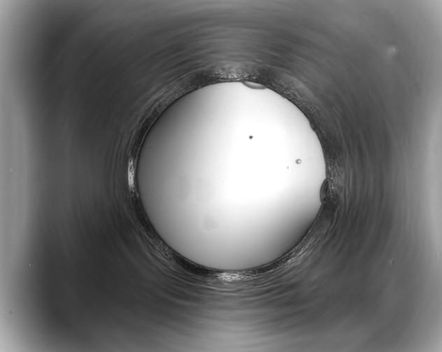 X0000088690095200705311006
