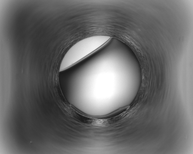 X0000088690096200705311006