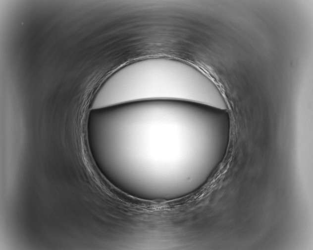 X0000088690097200705311005
