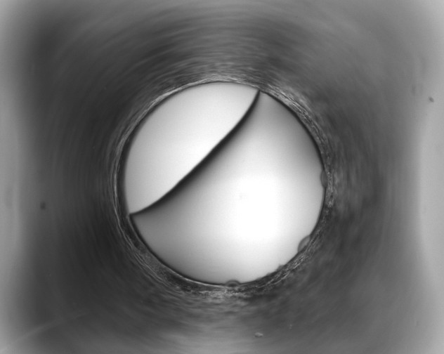 X0000088690098200705311005
