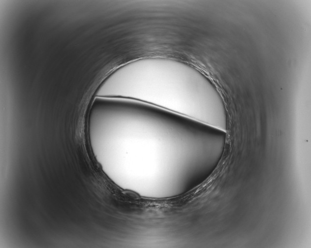 X0000088690099200705311005