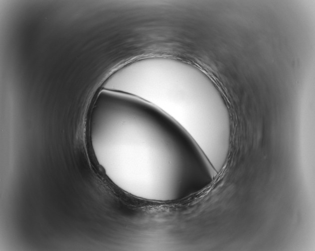 X0000088690100200705311005