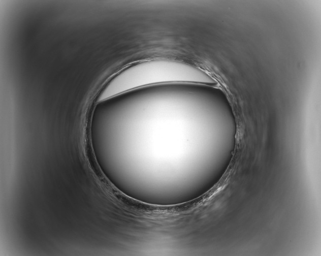 X0000088690101200705311005