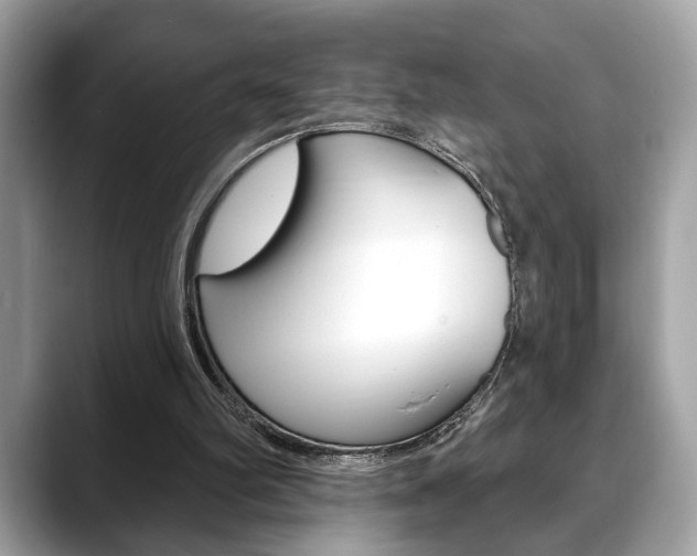 X0000088690102200705311005