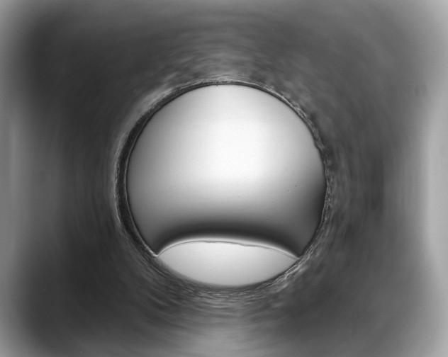 X0000088690104200705311005
