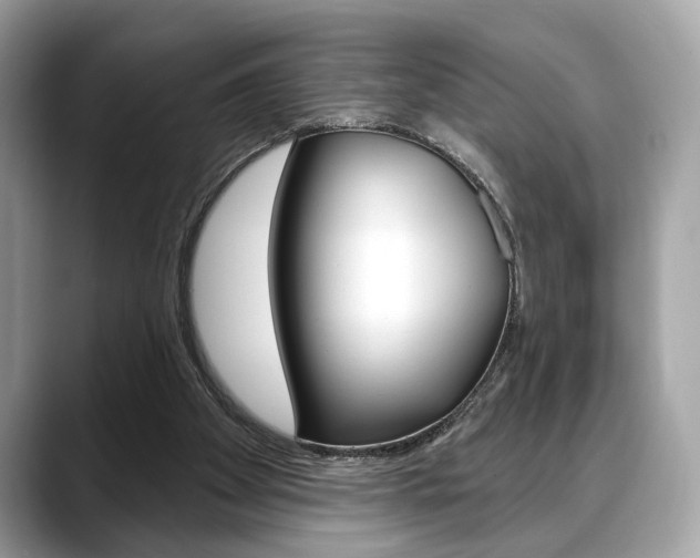 X0000088690105200705311005