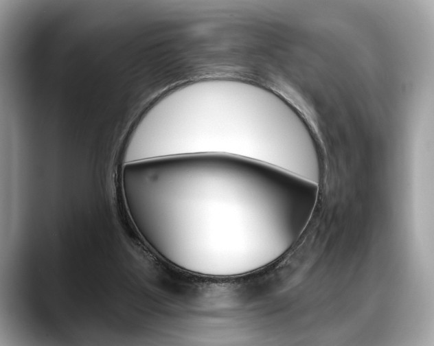 X0000088690107200705311005