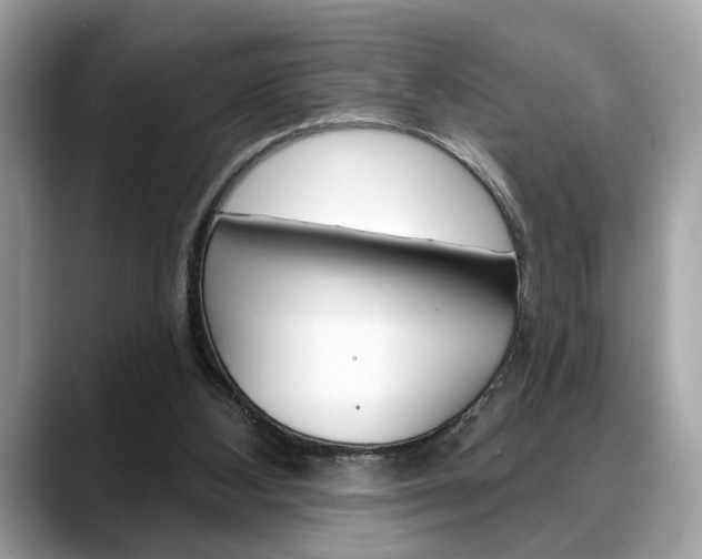X0000088690108200705311005