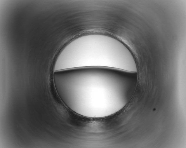 X0000088690111200705311005