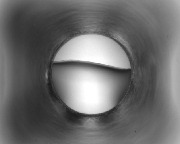 X0000088690115200705311005