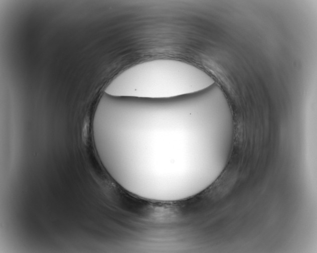 X0000088690118200705311005