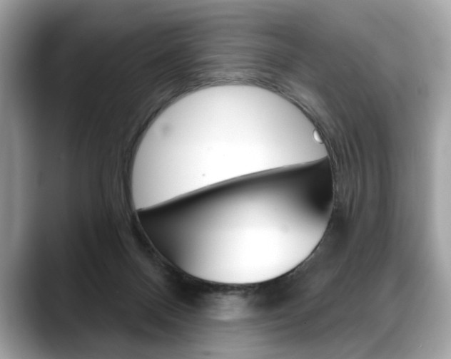 X0000088690120200705311005