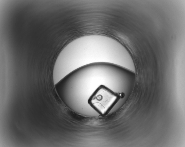 X0000088690121200705311005