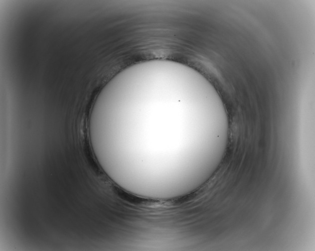 X0000088690122200705311005