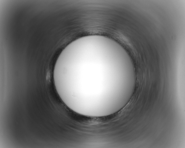X0000088690124200705311005