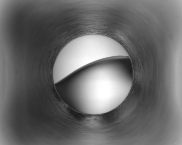 X0000088690125200705311005