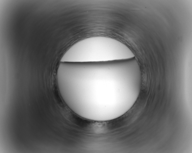 X0000088690126200705311005