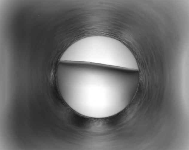 X0000088690127200705311005