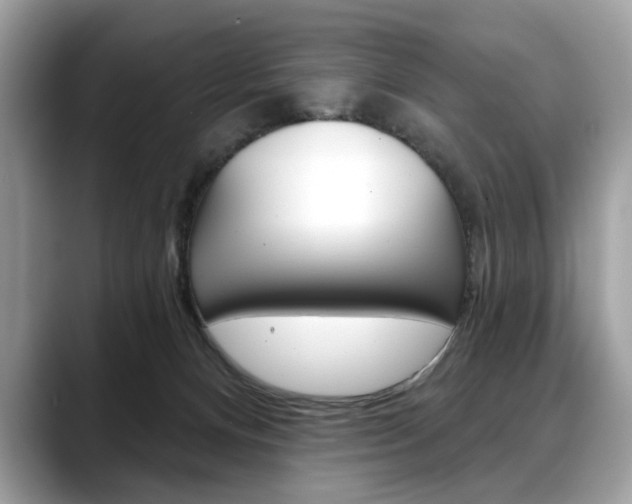 X0000088690128200705311005
