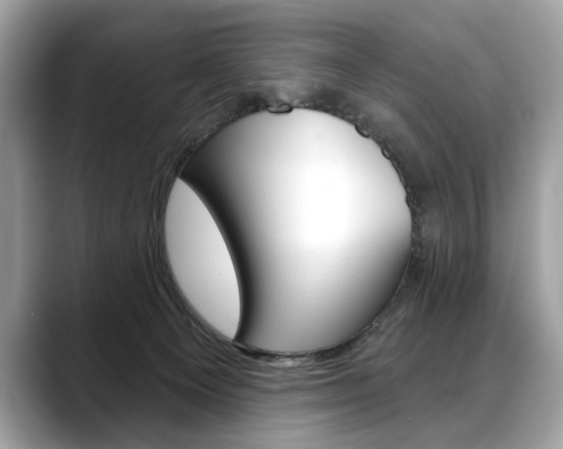 X0000088690129200705311005
