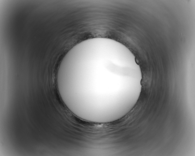 X0000088690130200705311005