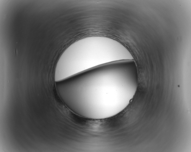 X0000088690131200705311005