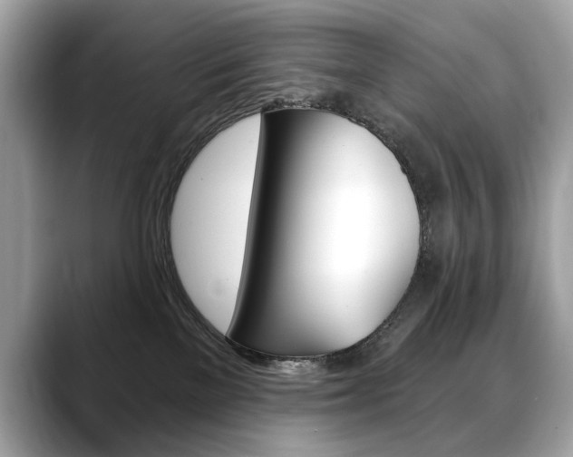 X0000088690137200705311005