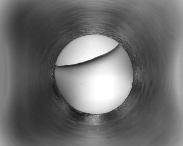 X0000088690138200705311005