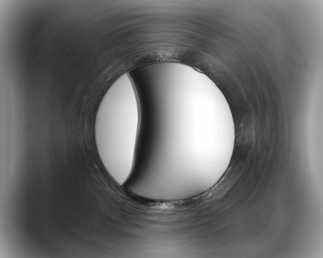 X0000088690140200705311005