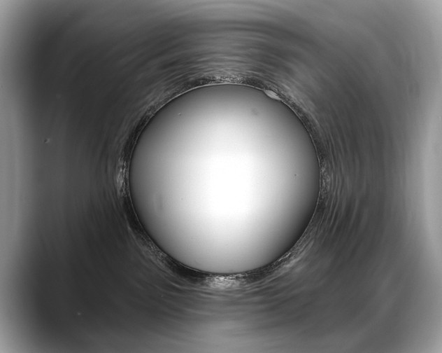 X0000088690141200705311005