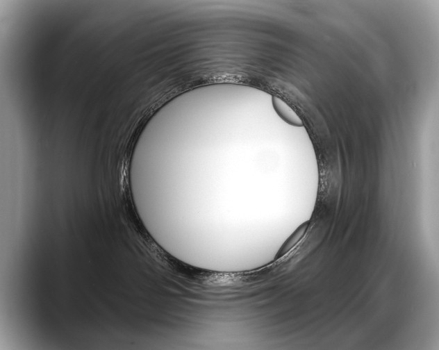 X0000088690142200705311005