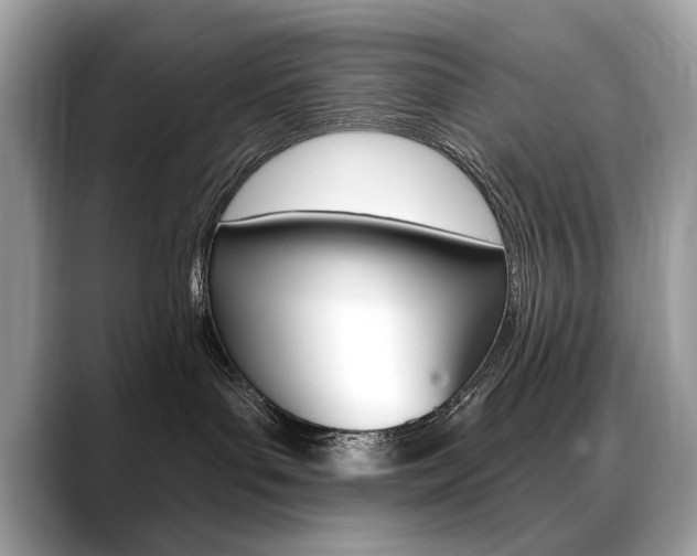 X0000088690143200705311005