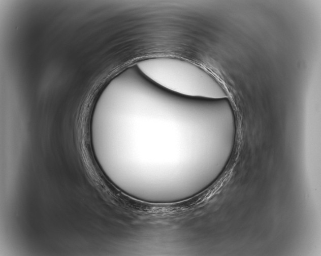 X0000088690145200705311004