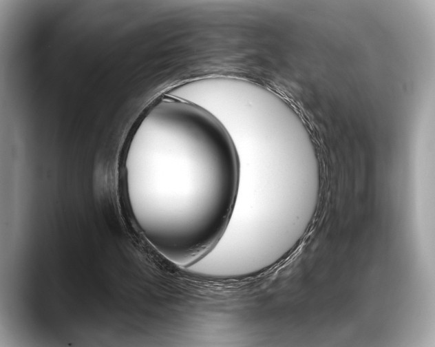 X0000088690148200705311004