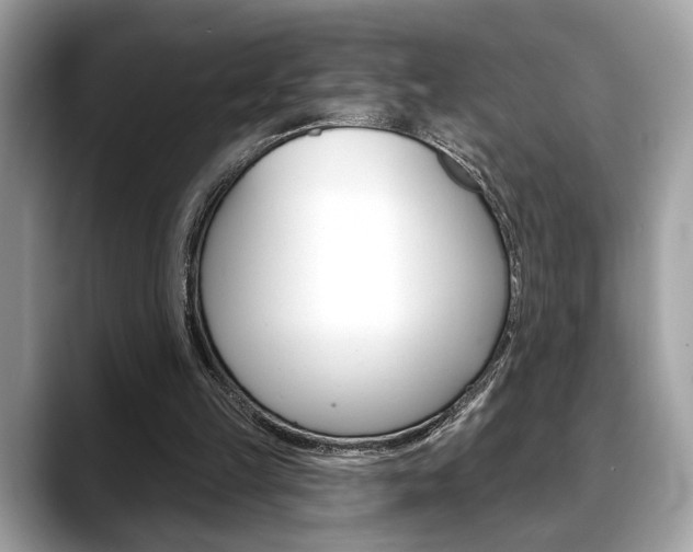 X0000088690149200705311004