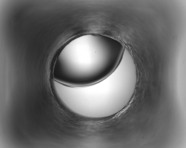X0000088690150200705311004