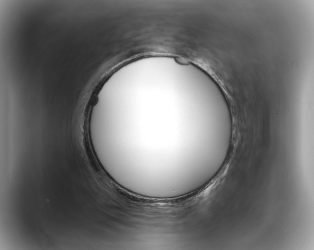 X0000088690151200705311004