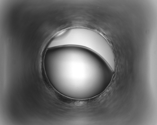 X0000088690152200705311004