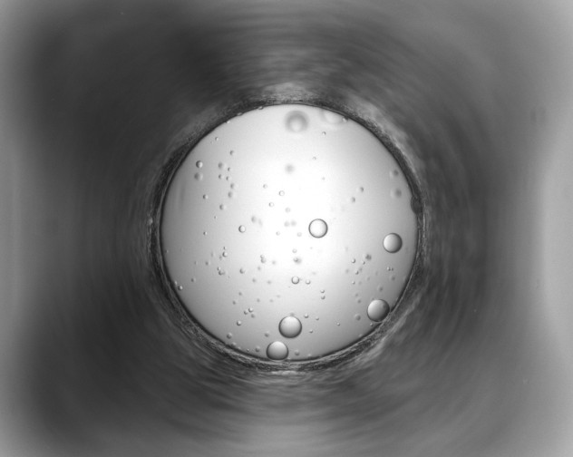 X0000088690153200705311004