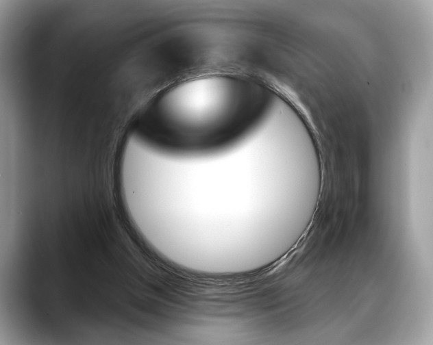 X0000088690154200705311004