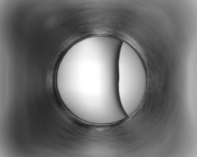 X0000088690155200705311004