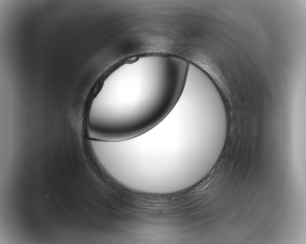 X0000088690156200705311004