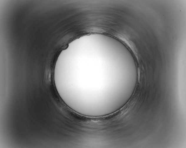 X0000088690157200705311004