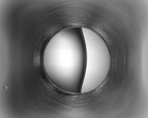 X0000088690158200705311004